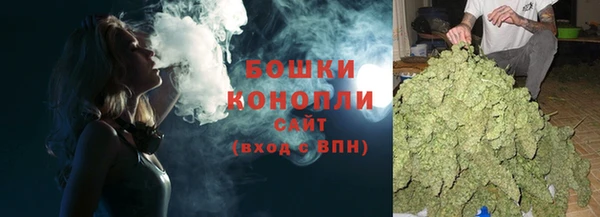 спиды Богданович