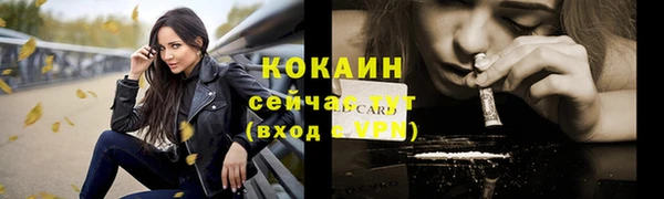 спиды Богданович