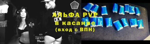 спиды Богданович