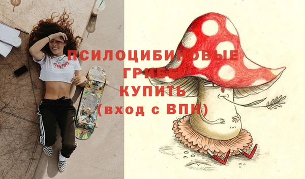 гидропоника Богородицк
