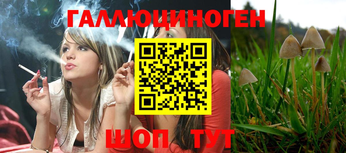 Псилоцибиновые грибы ЛСД Знаменск