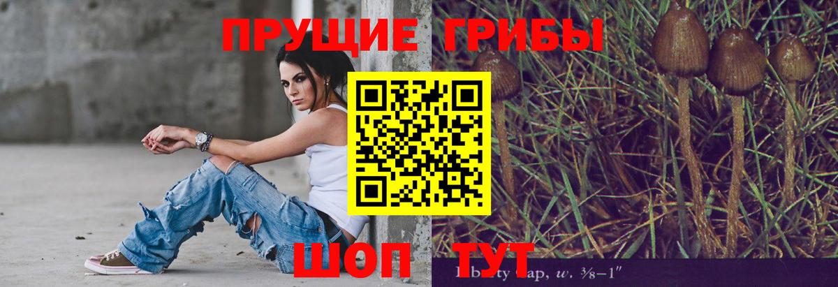 Псилоцибиновые грибы Psilocybine cubensis  Галлюциногенные грибы мухоморы  Знаменск 